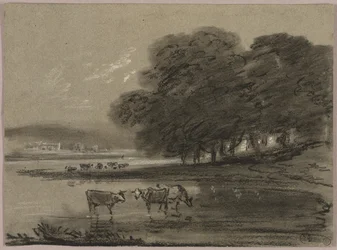 Landschap met koeien