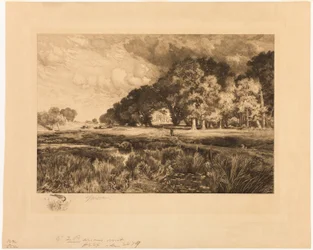 Landschap van Long Island