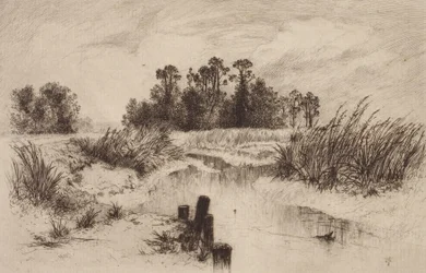 Moerassig landschap met beek
