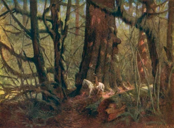 Grote spar in Stanley Park (kleurenlitho)