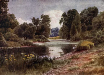 Kew Gardens: Het Meer, Kijkend naar het Zuiden