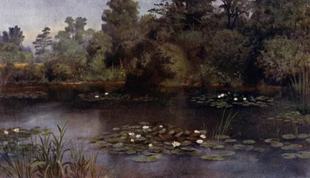 Kew Gardens: De Waterlelievijver (kleur litho)