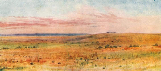 Op de prairies (kleurenlitho)