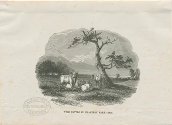 Chartley Hall - Park