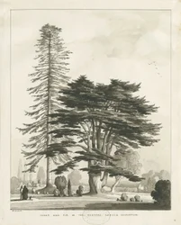 Haughton Pastorie