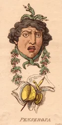 Koppen: Penserosa