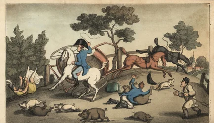 Johnny en een Dame botsen met een gig in een kudde varkens. Handgekleurde kopergravure door W. Read naar een illustratie van Thomas Rowlandson uit Alfred Burton