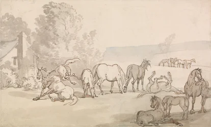 Merries en veulens in een weiland