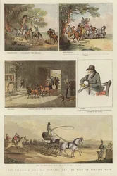 Serie paardrijillustraties