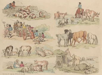 Set van Zestien: Contouren van Figuren en Landschappen