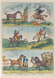 Zes Klassen van het Nobele en Nuttige Dier een Paard