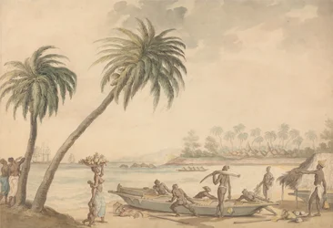 Ivoorkust, West-Afrika