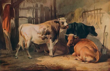 Een stier en drie koeien in een stal, ca. 1856