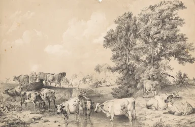 Een kudde runderen aan een rivieroever