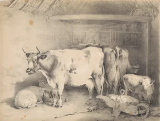 Schapen en runderen in een schuur