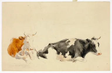 Twee liggende koeien (recto); schets van staande koe (verso)
