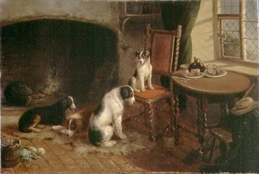 Interieur met Honden