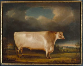 Comet, een lichtroan korthoornstier in een landschap, 1811
