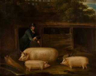 Harry Green, varkenshouder, met zijn varkens in een hok, ca. 1794-1843