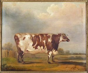 Wildair, een achtjarige vaars in een rivierlandschap, 1827