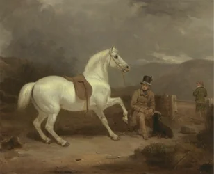 Grijze Schietpony, Waarschijnlijk het Eigendom van Johnston King, met een Knecht