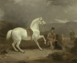 De grijze jachtpony van de heer Johnstone King wacht met een stalknecht op een Schotse heide