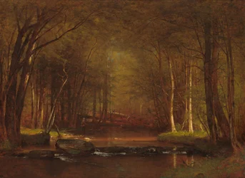 Forellenbeek in de Catskills