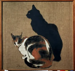 Twee katten