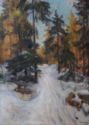 Bosinterieur, winter
