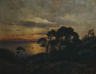 Pijnboom bij zonsondergang