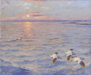 Zonsondergang boven de Noorse Zee