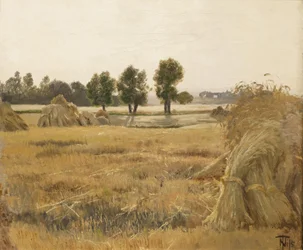Veld met korenschoven