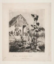 De zonnebloemen bij het huis