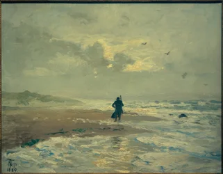 Strandzicht. Grenen bij Skagen