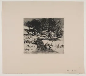 Winterbeek bij een bos