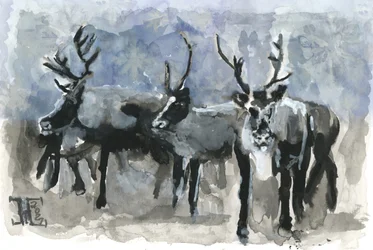 Drie rendieren in de winter