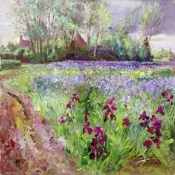 Irisveld, Storm Opkomst