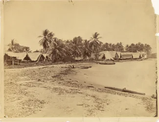 [Hutten, palmbomen en strand, landengte van Darién (Panama)]