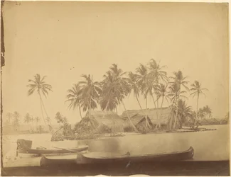 [Baai van Limón, Isthmus van Darién (Panama)].