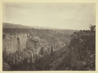 North Fork Cañon, Sierra Blanca Creek, Arizona