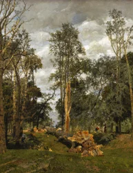 Gevallen grootheid