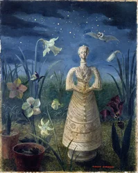 Spaanse Dame