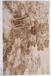 Landschap met bomen links en een stad op de achtergrond