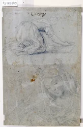 Studies van de Maagd