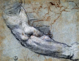 Studie van arm, door Titiaan (ca. 1488-1576), tekening