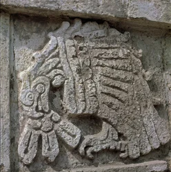 Reliëf van een adelaar, tempel van Quetzalcoatl