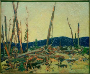 Verbrand land
