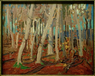 Maple Woods, Kale stammen, 1915