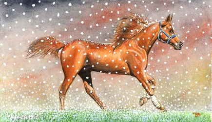 Kerstsneeuw