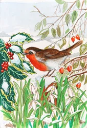 Roodborstje en sneeuwklokjes